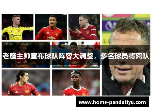 老鹰主帅宣布球队阵容大调整，多名球员将离队