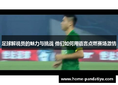 足球解说员的魅力与挑战 他们如何用语言点燃赛场激情
